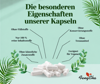 Zeolith Klinoptilolith in Kapseln 240 Kapseln