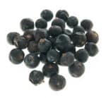 juniper_berry_na_vre_ki