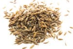 cumin_na_vre_ki