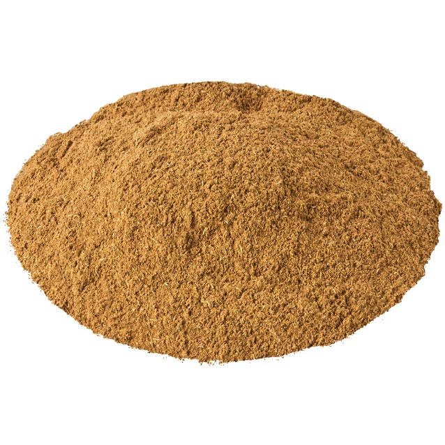 artiglio_felino_bio_2