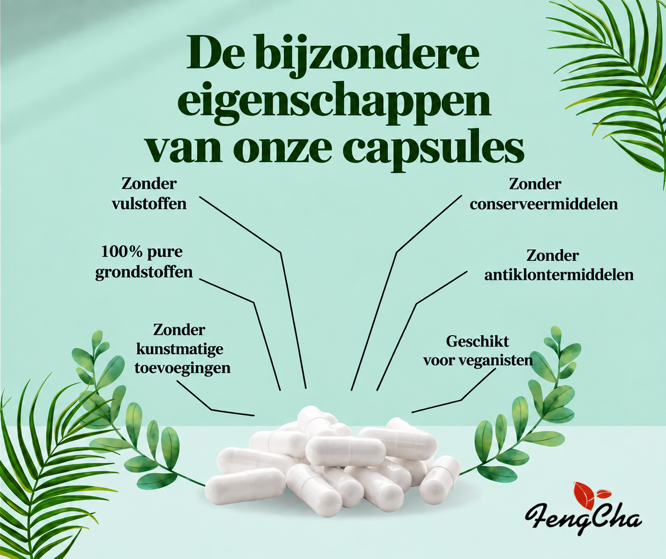 kapsule_NL