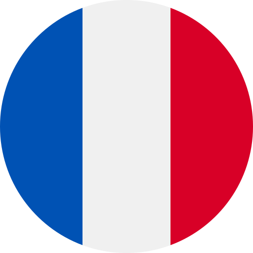 Switch language