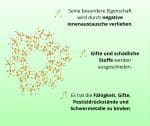 Zeolite-na-vrecki-spredaj