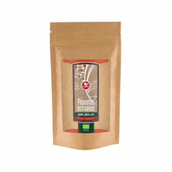 Pleurotus ostreatus (Oyster Mushroom) BIO 125 g