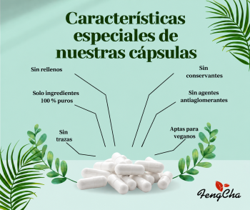 Zeolita en cápsulas 240 cápsulas