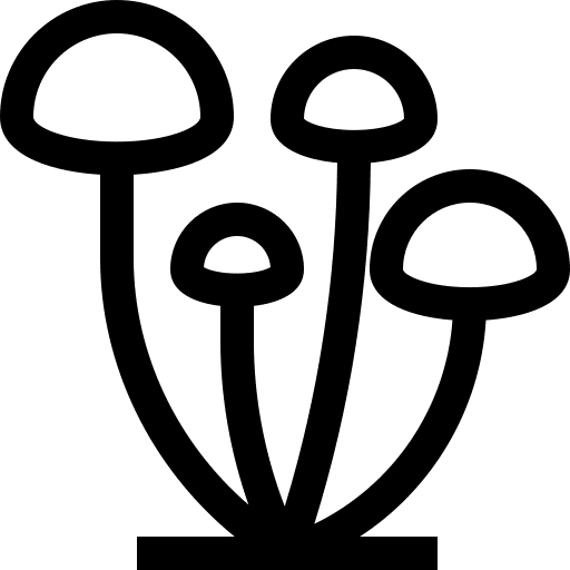 Hongos medicinales