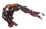 Dulse-BIO-na-vrecki-1
