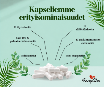 Zeoliitti-klinoptiloliitti kapseleina 240 kapselia