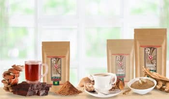 Lääkinnälliset sienet