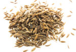 cumin_na_vre_ki