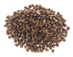 guinera_pepper_na_vre_ki