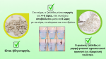 Zeolite-na-vrecki-spredaj_nova