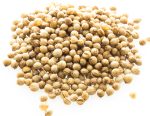Coriander-BIO-celi-na-vrecki