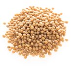 Mustard-seed-yellow-BIO-na-vrecki