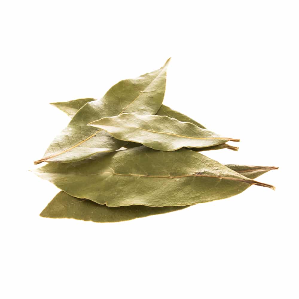 lovor_2