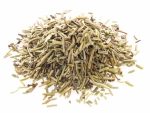 rosemary_wild_na_vre_ki