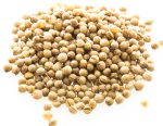 coriander_celi_na_vre_ki