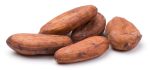 Cacao-beans-BIO-na-vrecki-spredaj