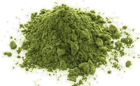 moringa_2