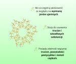 Zeolite-kapsule-na-vrecki-spredaj