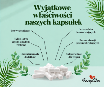 Zeolit w kapsułkach 240 kapsułek