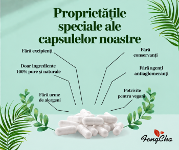 Zeolit în capsule 240 capsule