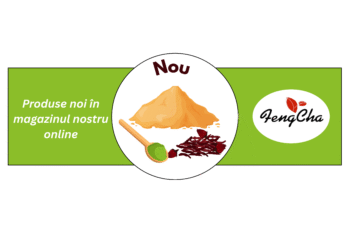 Nou