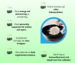 Zeolite-na-vrecki-spredaj_nova