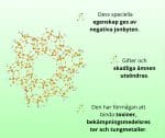 Zeolite-na-vrecki-spredaj_nova