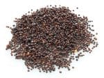 mustard_seed_brown_na_vre_ki