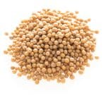 Mustard-seed-yellow-BIO-na-vrecki