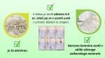 Zeolite-kapsule-na-vrecki-spredaj_nova