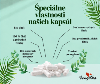 Zeolit ​​klinoptilolit v kapsulách 240 kapsúl