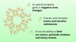 Zeolite-na-vrecki-spredaj_nova