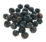 juniper_berry_na_vre_ki